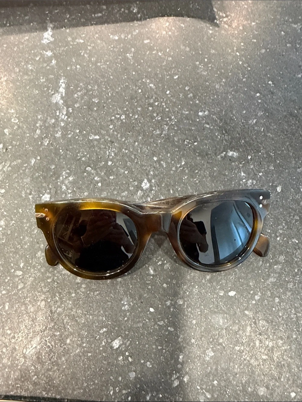 Celine Tortoise Brown Frame Sunglasses with Dark Lenses
